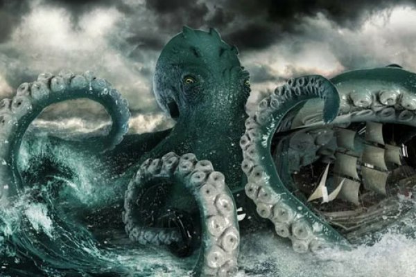 Kraken верификация